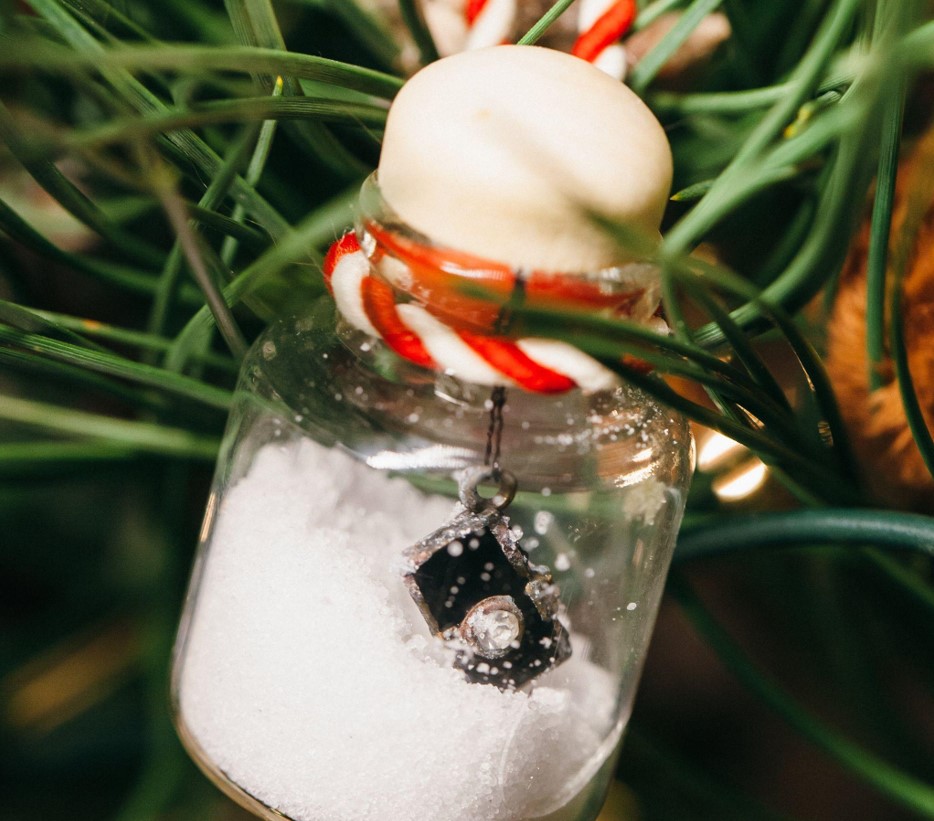 Choose the Perfect Christmas Tree for Family Memories